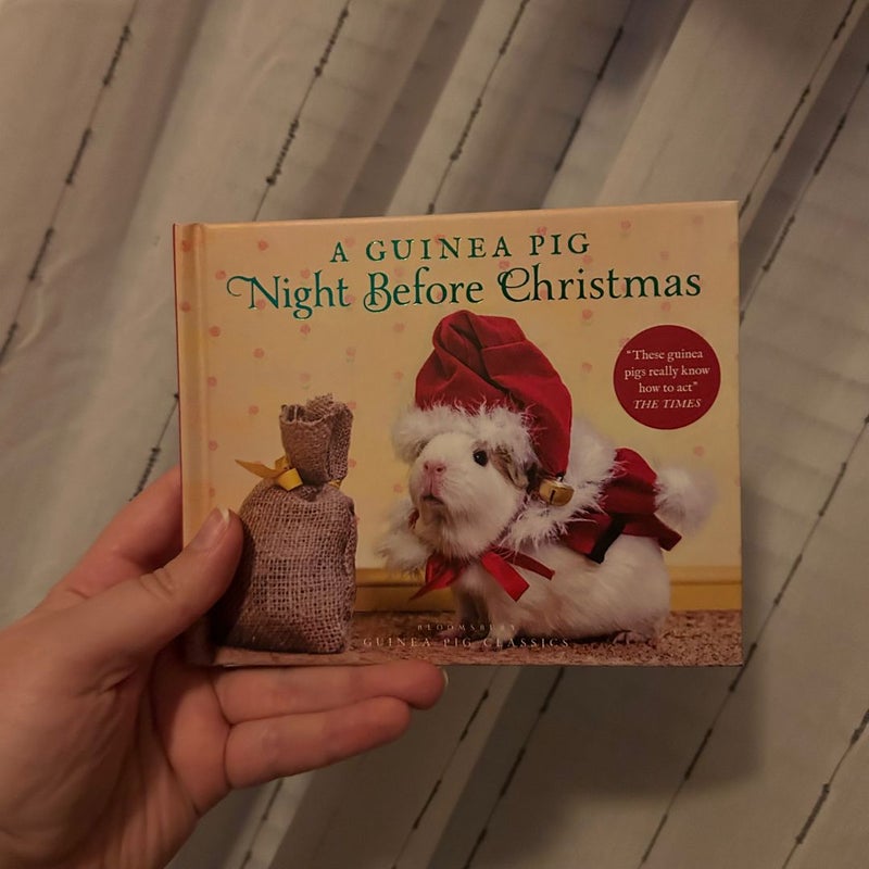 A Guinea Pig Night Before Christmas