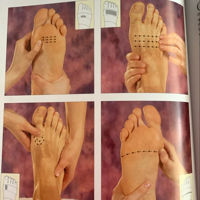 The Reflexology Manual