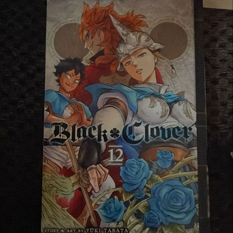 Black Clover, Vol. 12