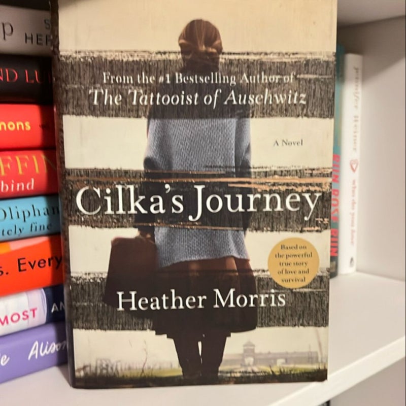 Cilka's Journey