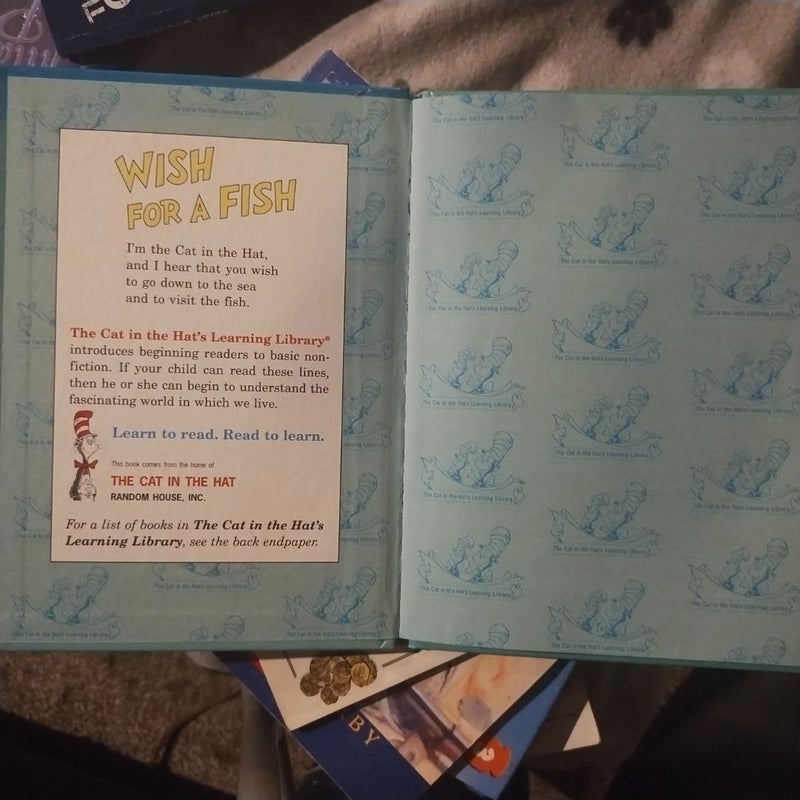 Wish for a Fish