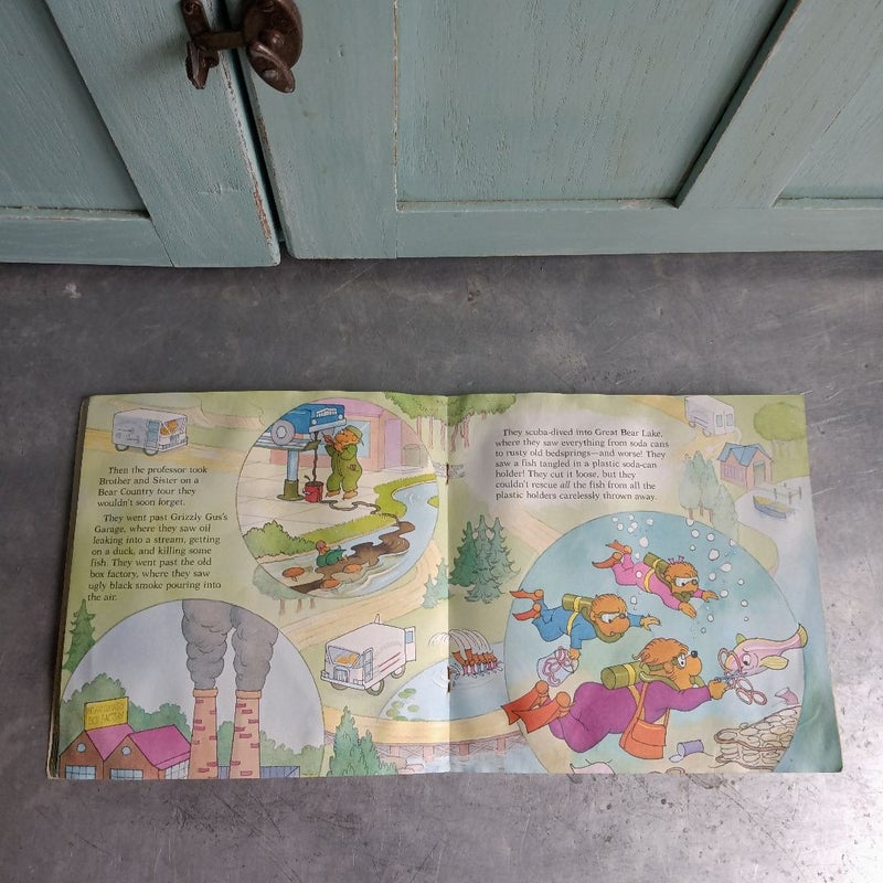 The Berenstain Bears Don't Pollute (Anymore)