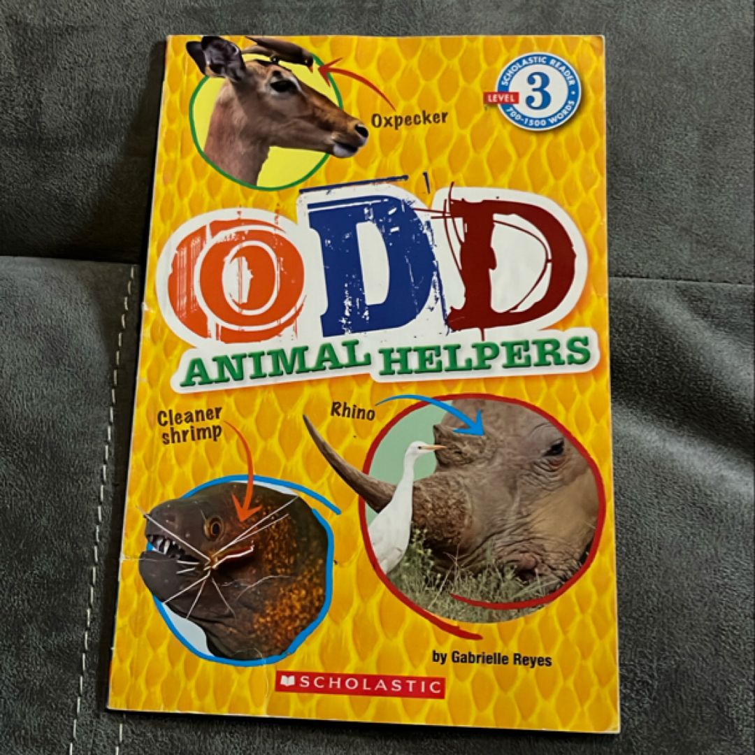 Odd Animal Helpers