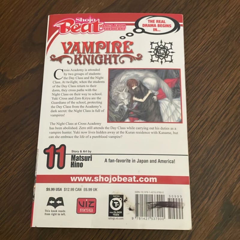 Vampire Knight, Vol. 11