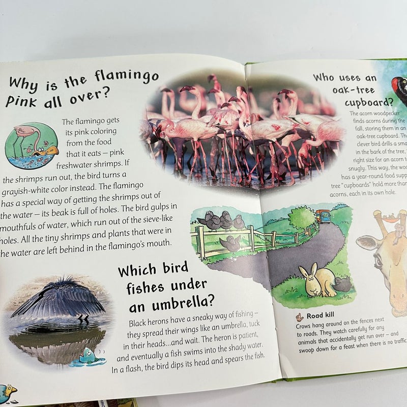 Ask Me Why-Dinosaurs and Reptiles-Lot of 2