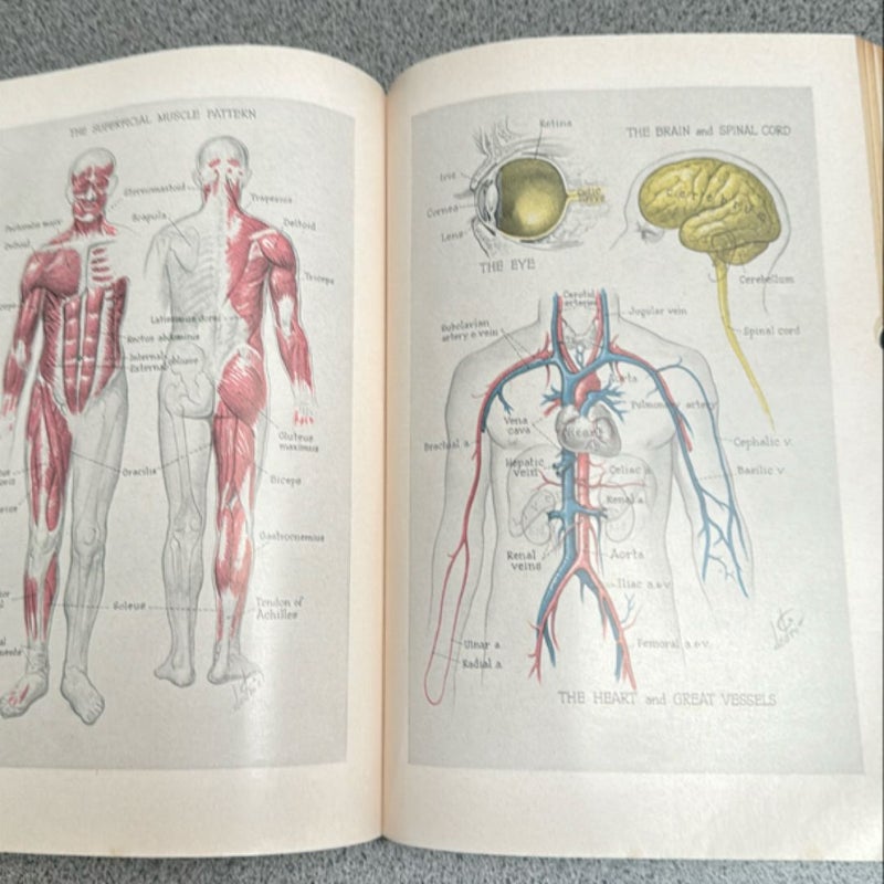 The Lincoln Library of essential information 