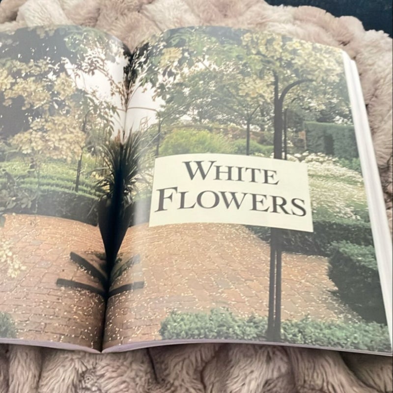 Encyclopedia of Flowers