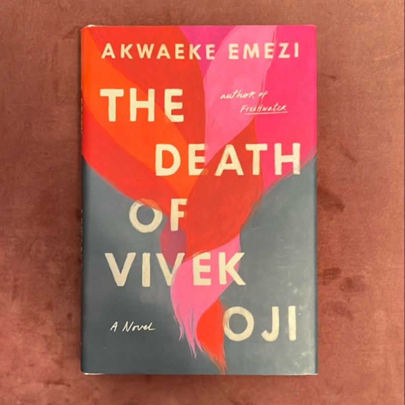 The Death of Vivek Oji