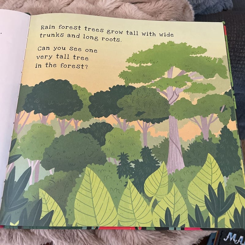 Secrets of the Rain Forest