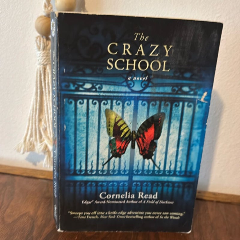 The Crazy School