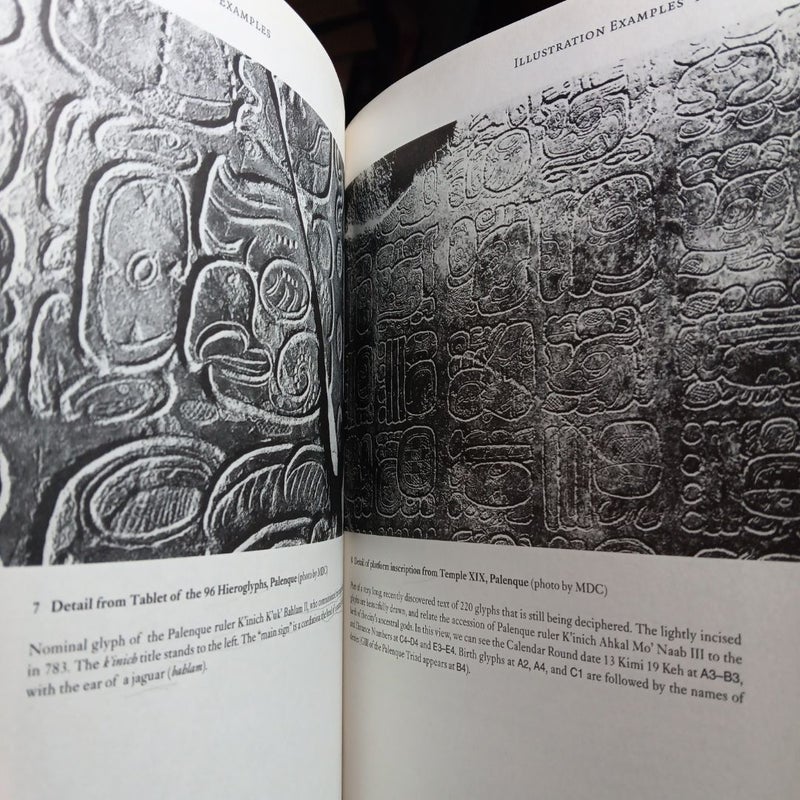 Reading the Maya Glyphs