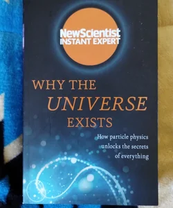Why the Universe Exists