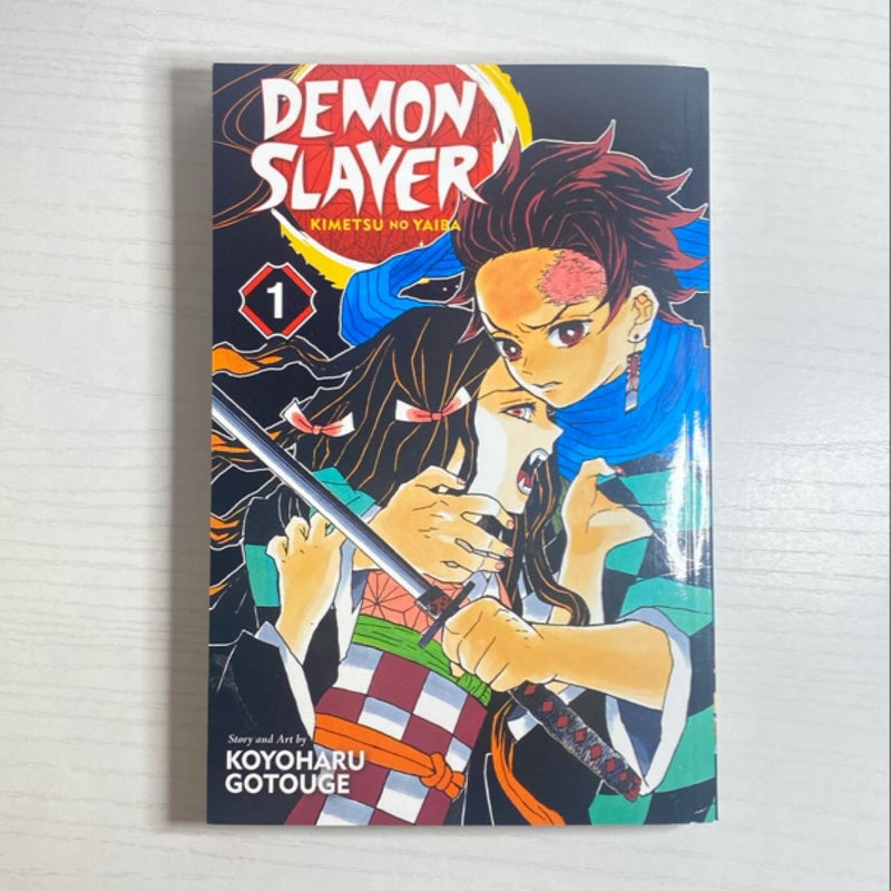 Demon Slayer Vol. 1