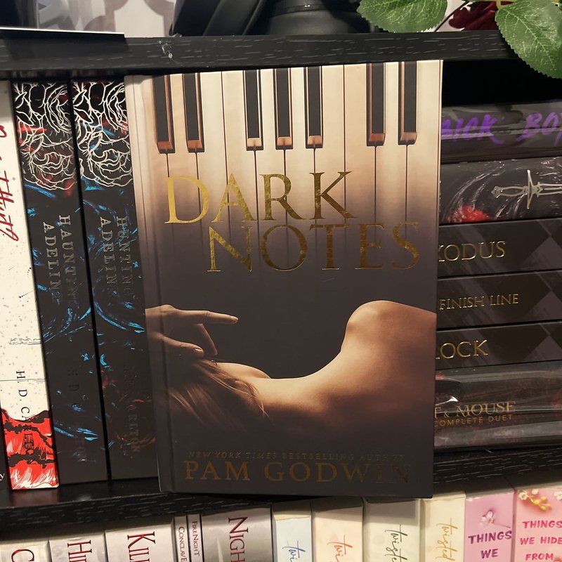 Dark notes mystic by Pam Goodwin , Hardcover | Pangobooks