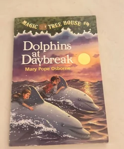 Dolphins at Daybreak  