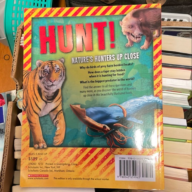 Hunt 