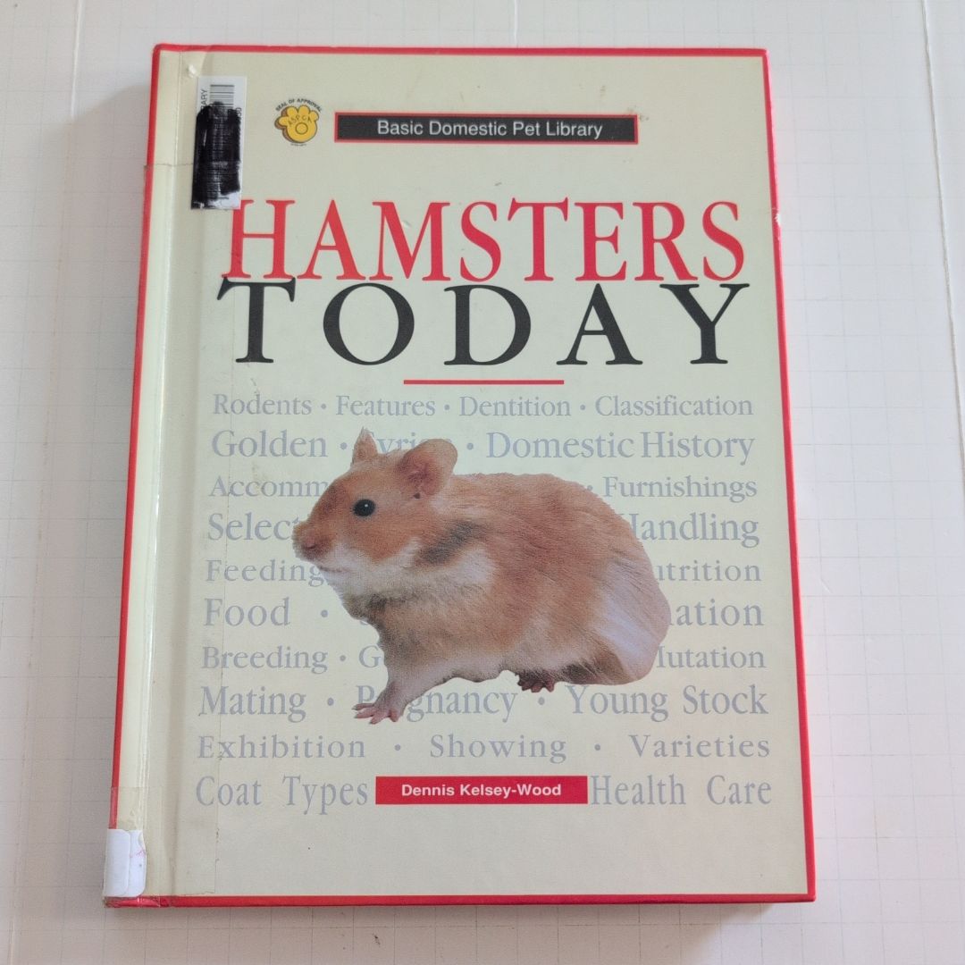 Hamsters Today