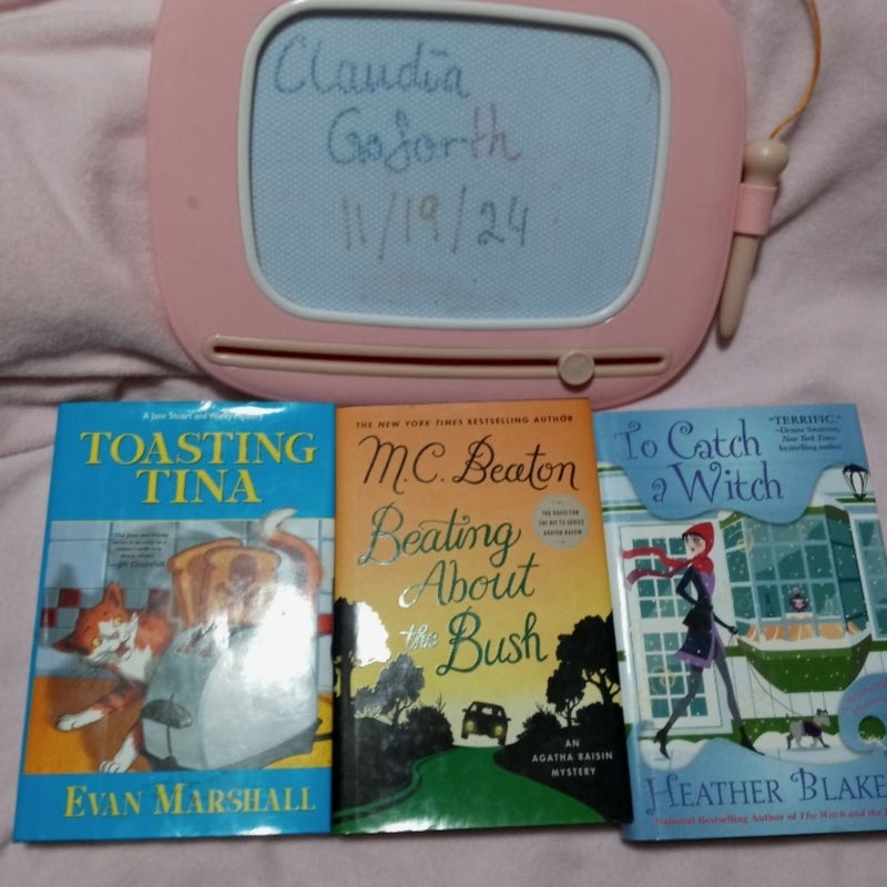 Cozy mystery book lot