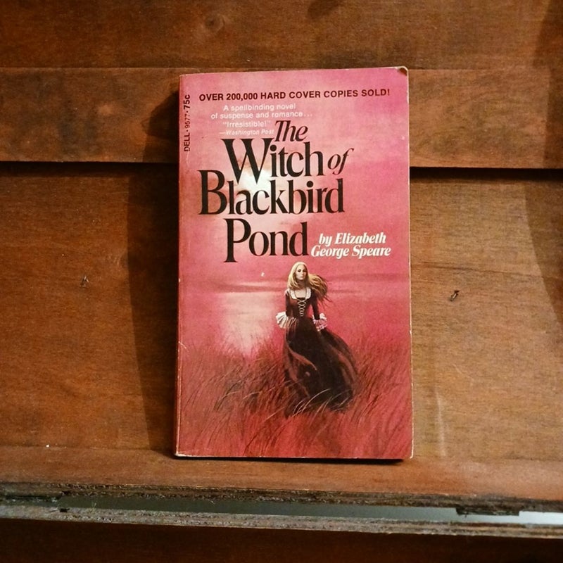 The Witch Of Blackbird Pond