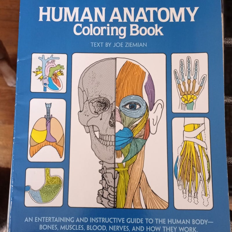 Human anatomy coloring book 