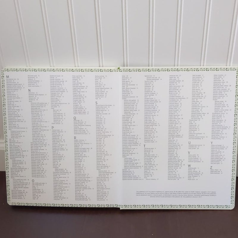 Usborne 1,000 Things in Nature