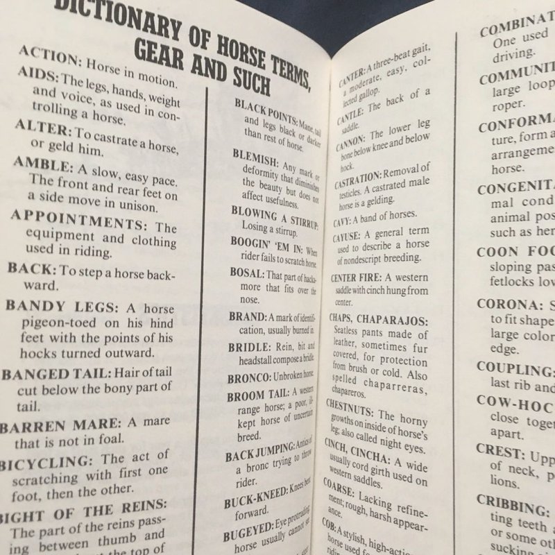 Cowboy Slang by Edgar Potter