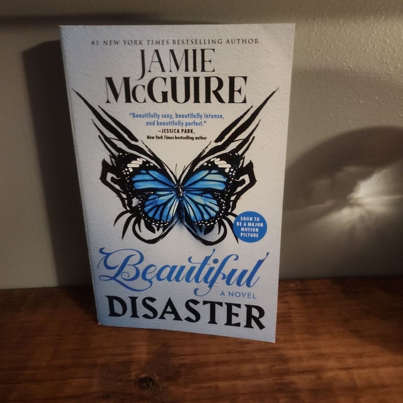 Beautiful Disaster