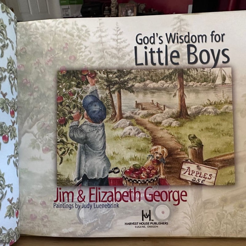 God's Wisdom for Little Boys