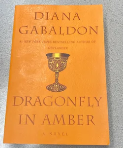 Dragonfly in Amber