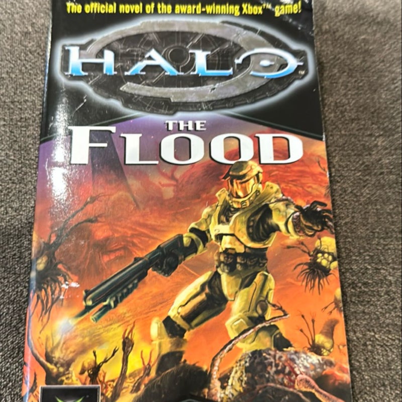 The Flood