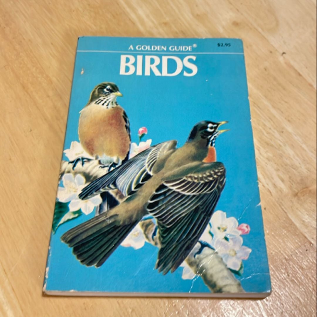 Birds