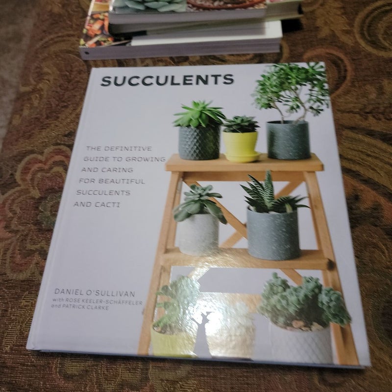 Succulents