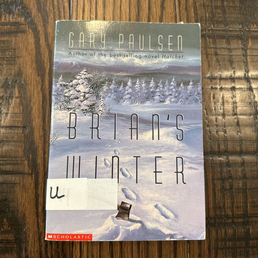 Brian's Winter