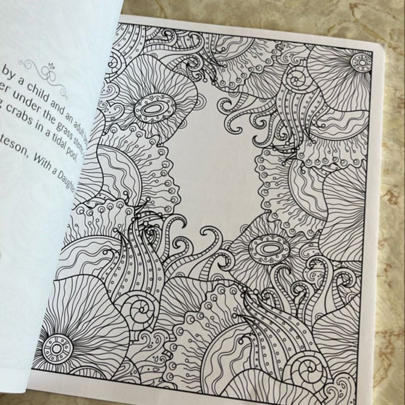 Bundle of 3 adult coloring books