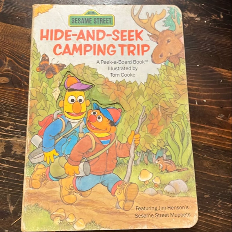 Hide and seek camping trip 