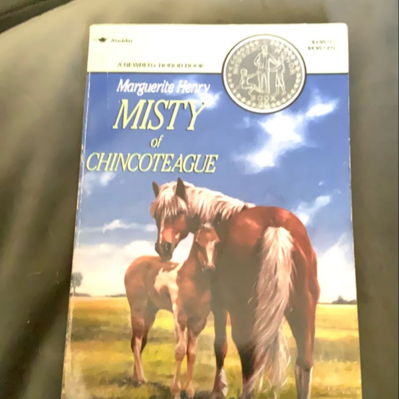 Misty of Chincoteague