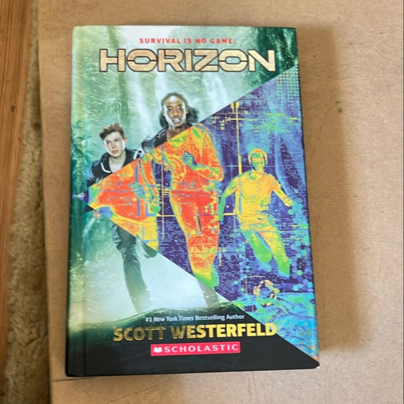 Horizon 
