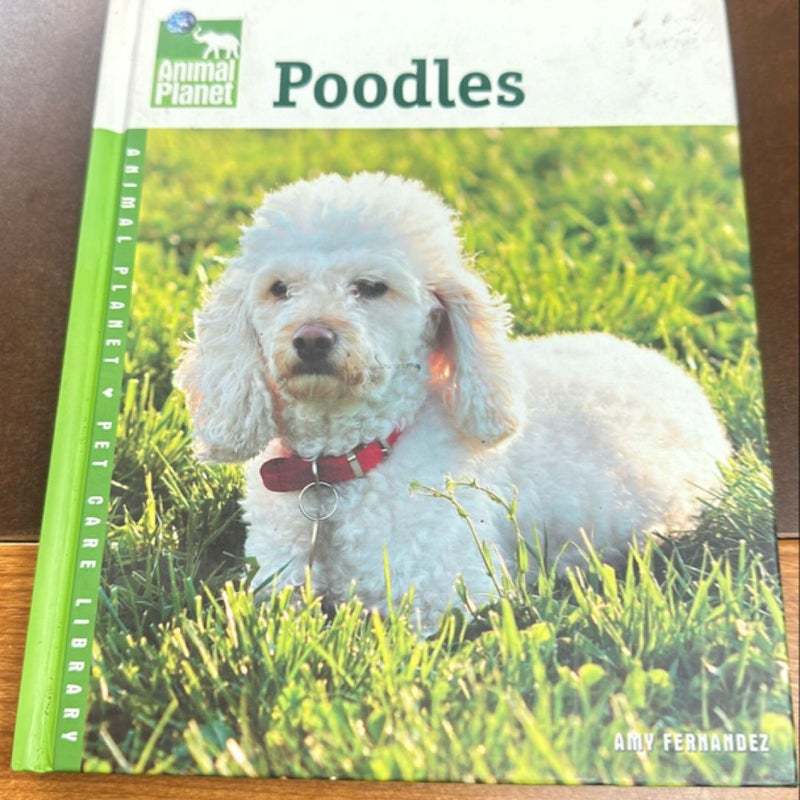 Poodles