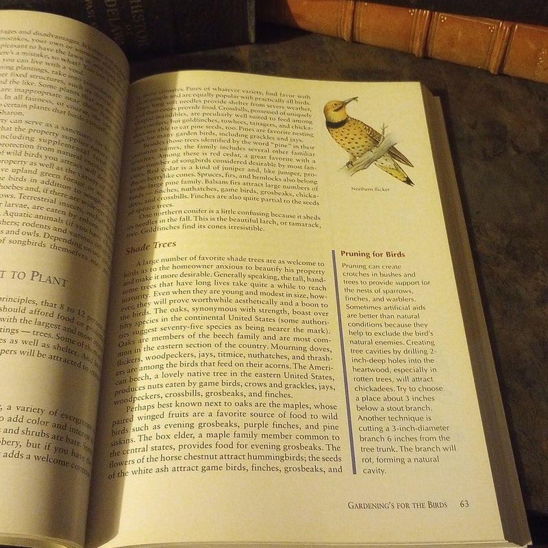 The Backyard BirdLover's Guide