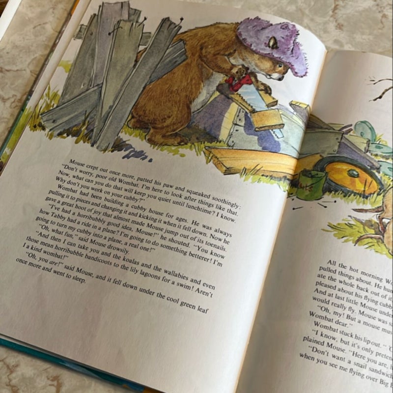 The Muddle-Headed Wombat and the Invention