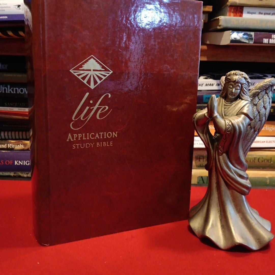 Life Application Study Bible