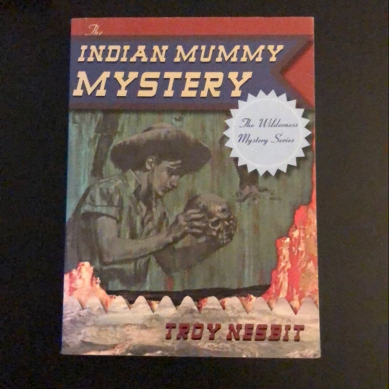 Reading Bundle  FB008b including The Indian Mummy Mystery