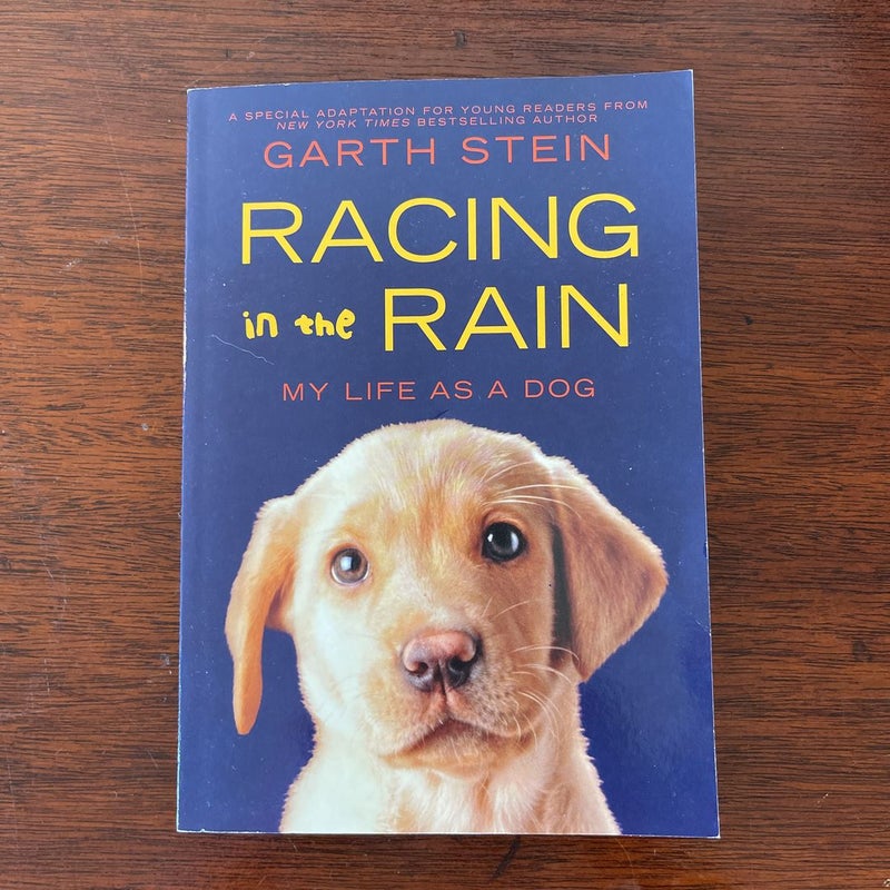 Racing In The Rain - My Life As a Dog