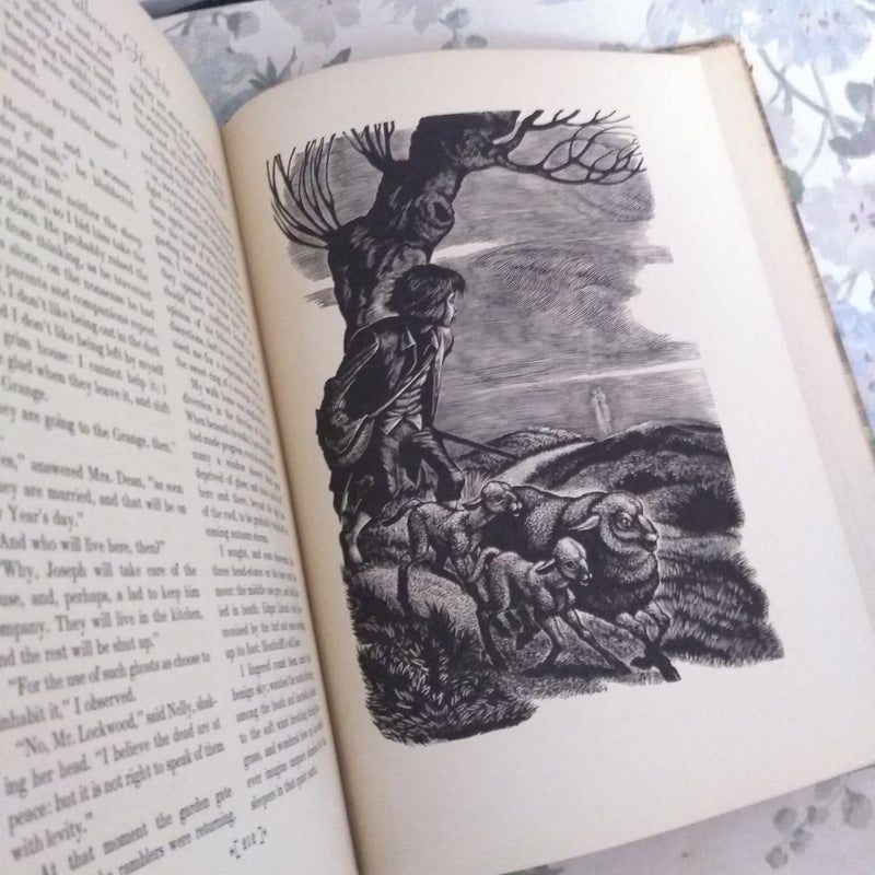 Wuthering Heights 
