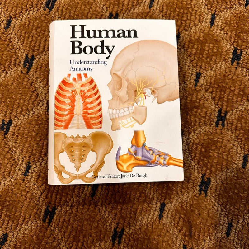 Human Body