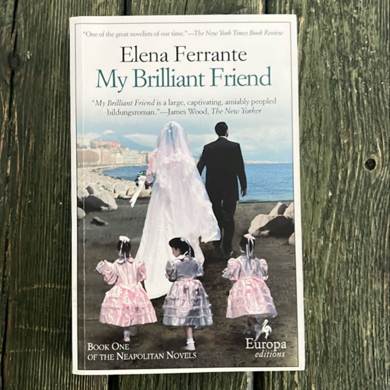 My Brilliant Friend