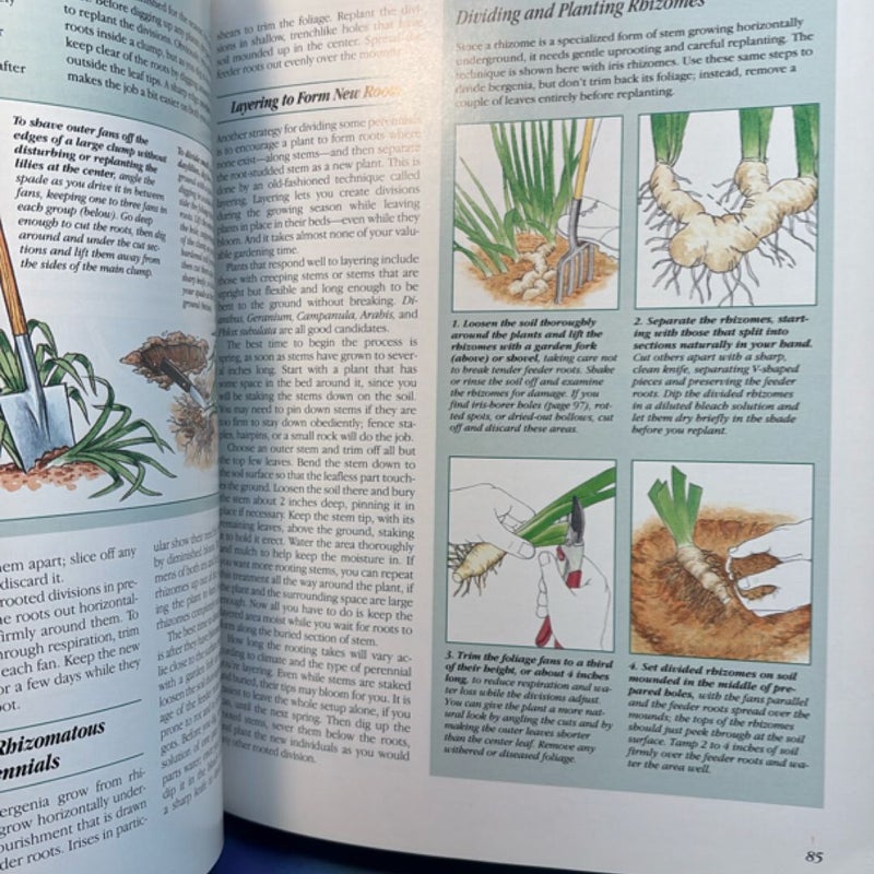 Perennials garden timelife book flowers  