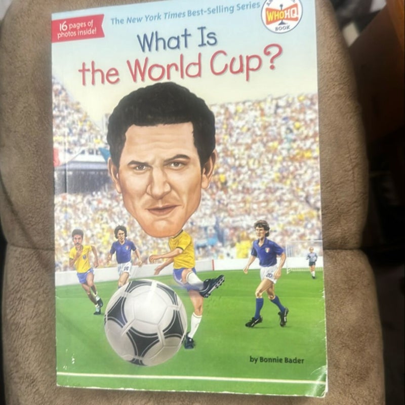 What Is the World Cup?