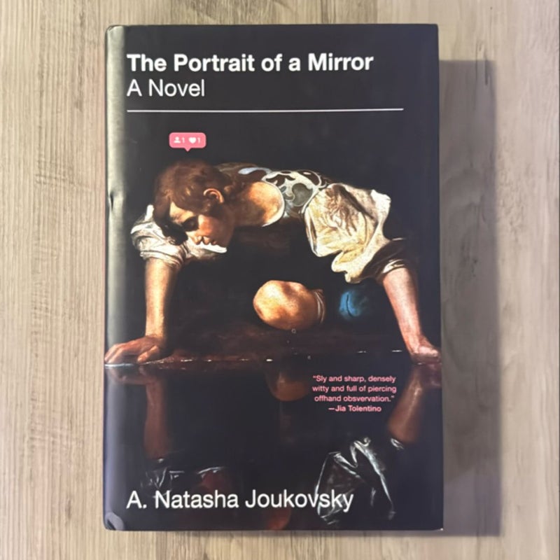 The Portrait of a Mirror