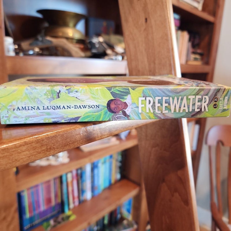 Freewater (Newbery and Coretta Scott King Award Winner)